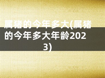 属猪的今年多大(属猪的今年多大年龄2023)