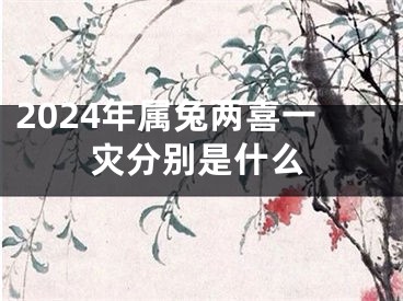 2024年属兔两喜一灾分别是什么