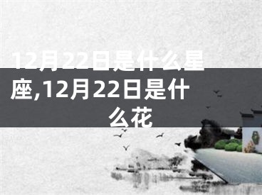 12月22日是什么星座,12月22日是什么花