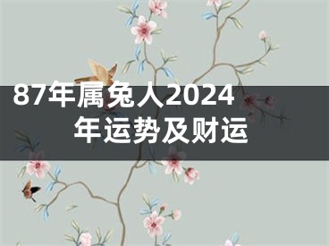 87年属兔人2024年运势及财运