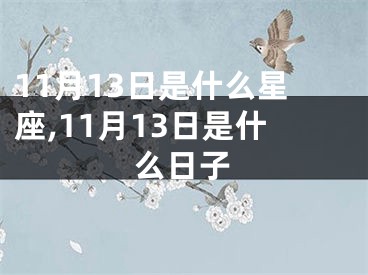 11月13日是什么星座,11月13日是什么日子