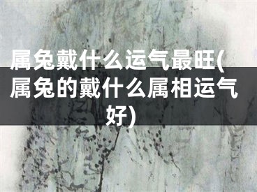 属兔戴什么运气最旺(属兔的戴什么属相运气好)