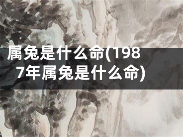 属兔是什么命(1987年属兔是什么命)