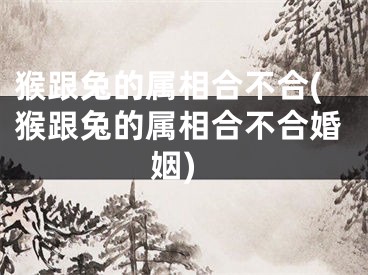 猴跟兔的属相合不合(猴跟兔的属相合不合婚姻)