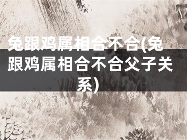 兔跟鸡属相合不合(兔跟鸡属相合不合父子关系)