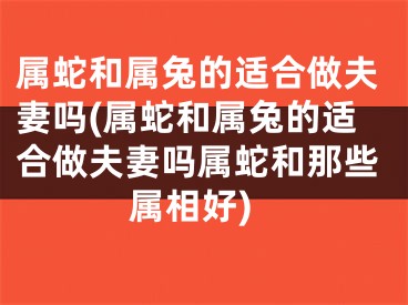 属蛇和属兔的适合做夫妻吗(属蛇和属兔的适合做夫妻吗属蛇和那些属相好)