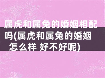 属虎和属兔的婚姻相配吗(属虎和属兔的婚姻怎么样 好不好呢)