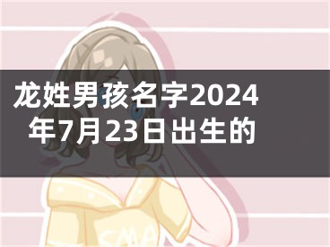 龙姓男孩名字2024年7月23日出生的