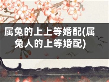 属兔的上上等婚配(属兔人的上等婚配)