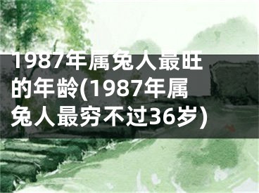 1987年属兔人最旺的年龄(1987年属兔人最穷不过36岁)