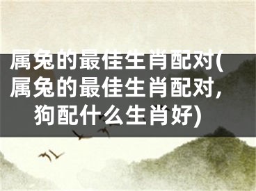 属兔的最佳生肖配对(属兔的最佳生肖配对,狗配什么生肖好)