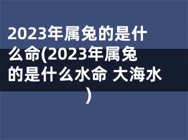2023年属兔的是什么命(2023年属兔的是什么水命 大海水)
