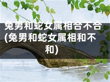 兔男和蛇女属相合不合(兔男和蛇女属相和不和)