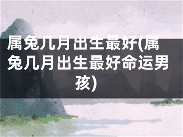 属兔几月出生最好(属兔几月出生最好命运男孩)
