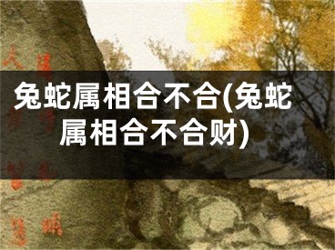兔蛇属相合不合(兔蛇属相合不合财)