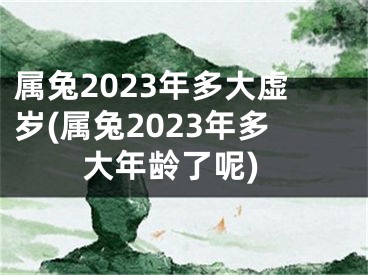 属兔2023年多大虚岁(属兔2023年多大年龄了呢)
