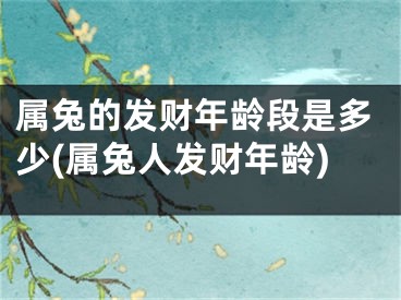 属兔的发财年龄段是多少(属兔人发财年龄)