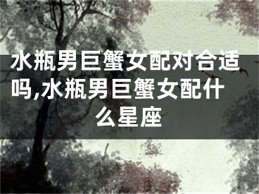 水瓶男巨蟹女配对合适吗,水瓶男巨蟹女配什么星座