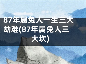 87年属兔人一生三大劫难(87年属兔人三大坎)