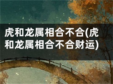 虎和龙属相合不合(虎和龙属相合不合财运)