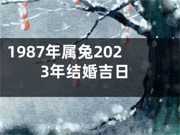 1987年属兔2023年结婚吉日