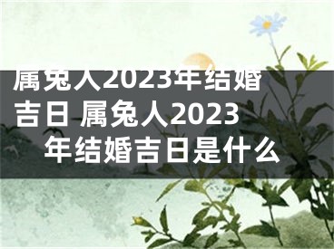 属兔人2023年结婚吉日 属兔人2023年结婚吉日是什么