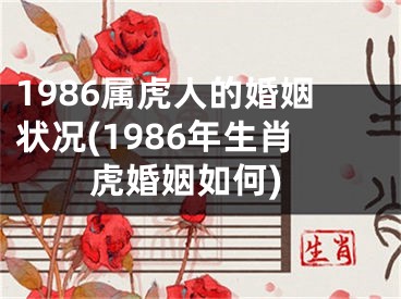 1986属虎人的婚姻状况(1986年生肖虎婚姻如何)