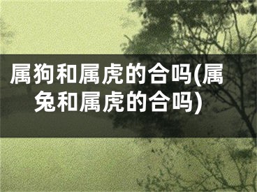 属狗和属虎的合吗(属兔和属虎的合吗)