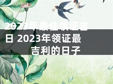 2023年最佳领证吉日 2023年领证最吉利的日子
