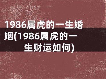 1986属虎的一生婚姻(1986属虎的一生财运如何)