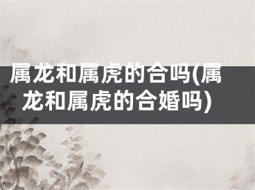 属龙和属虎的合吗(属龙和属虎的合婚吗)