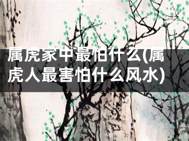 属虎家中最怕什么(属虎人最害怕什么风水)