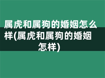 属虎和属狗的婚姻怎么样(属虎和属狗的婚姻怎样)
