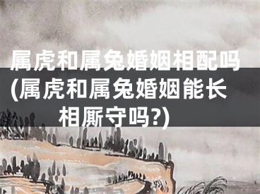 属虎和属兔婚姻相配吗(属虎和属兔婚姻能长相厮守吗?)