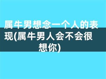 属牛男想念一个人的表现(属牛男人会不会很想你)