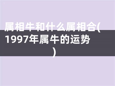 属相牛和什么属相合(1997年属牛的运势)