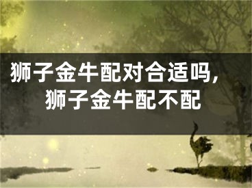 狮子金牛配对合适吗,狮子金牛配不配