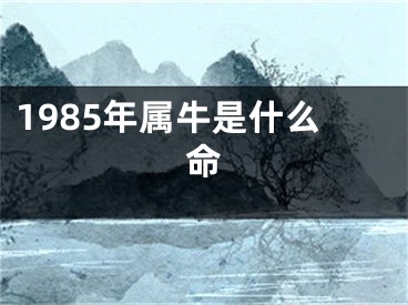 1985年属牛是什么命