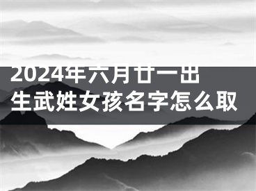 2024年六月廿一出生武姓女孩名字怎么取