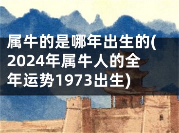 属牛的是哪年出生的(2024年属牛人的全年运势1973出生)