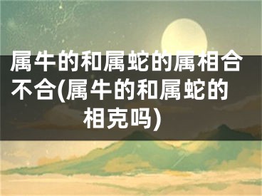 属牛的和属蛇的属相合不合(属牛的和属蛇的相克吗)