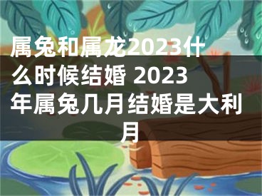 属兔和属龙2023什么时候结婚 2023年属兔几月结婚是大利月