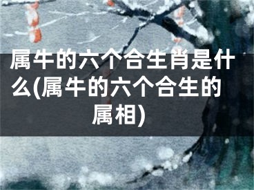 属牛的六个合生肖是什么(属牛的六个合生的属相)