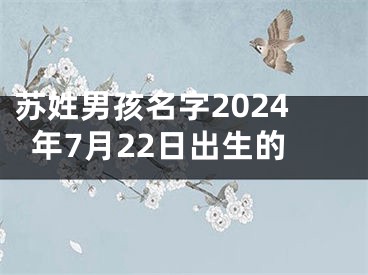 苏姓男孩名字2024年7月22日出生的