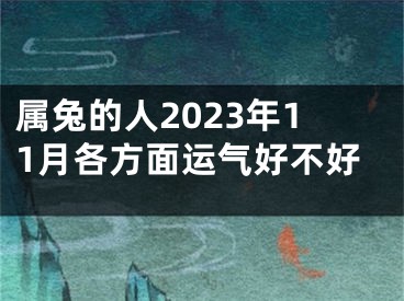属兔的人2023年11月各方面运气好不好
