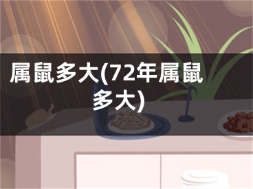 属鼠多大(72年属鼠多大)