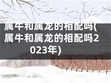 属牛和属龙的相配吗(属牛和属龙的相配吗2023年)