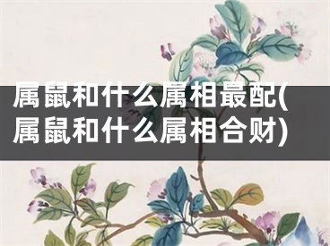 属鼠和什么属相最配(属鼠和什么属相合财)