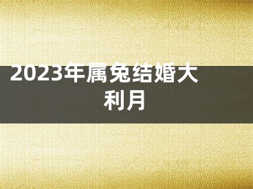2023年属兔结婚大利月