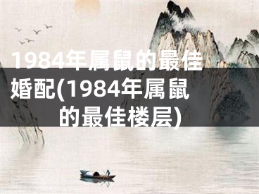 1984年属鼠的最佳婚配(1984年属鼠的最佳楼层)